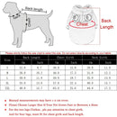 Soft Warm Cat Clothes For Small Dogs Cats Funny Halloween Cosplay Frog Costume Kitten Creative Sweatshirts Pet Autumn Hoodies