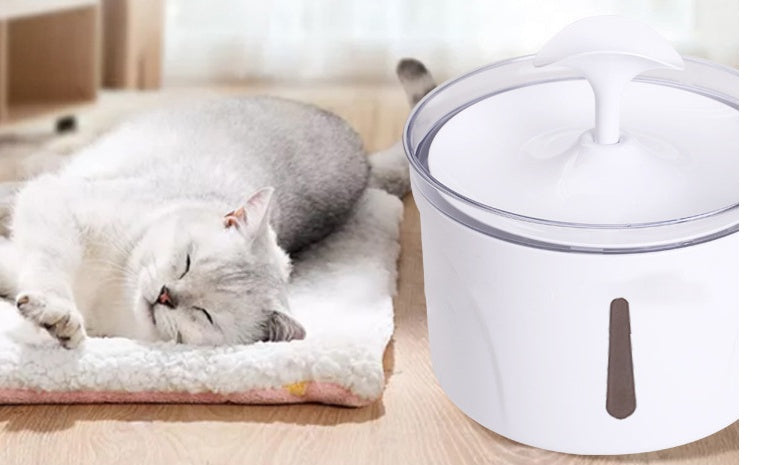 Dispensador de agua para mascotas con filtro circulante automático inteligente
