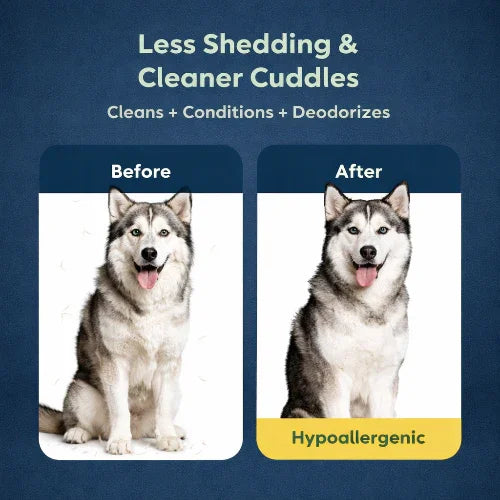 3-in-1 Dog Shampoo & Conditioner