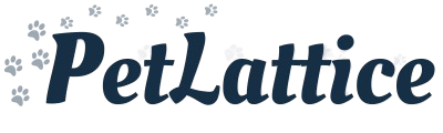 PetLattice