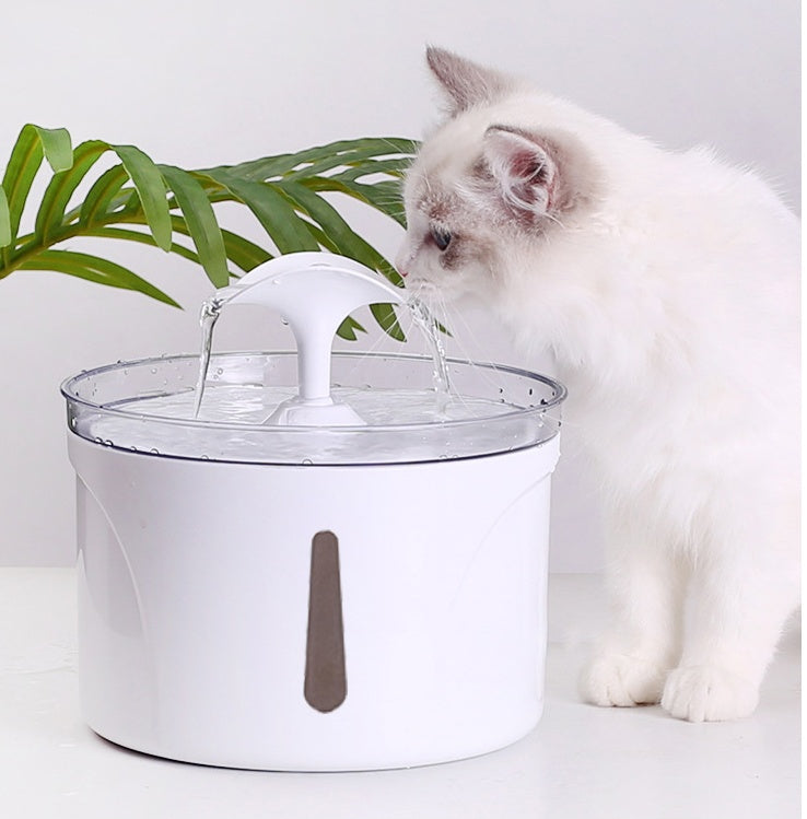 Dispensador de agua para mascotas con filtro circulante automático inteligente